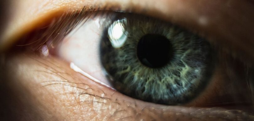 Macro close-up of a human eye showing eyelashes and green iris