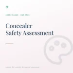 Safety Assessment for Concealer